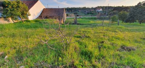 Moradia para venda na freguesia de Sarzedas