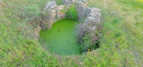 Moradia para venda na freguesia de Sarzedas