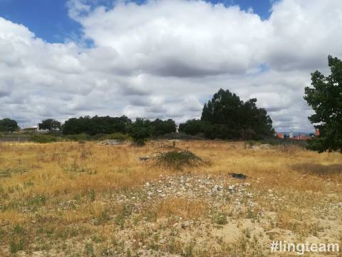 Terreno rústico com uma área de 4 hectares