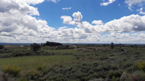 Quinta com 29,04Ha em Mata da Rainha, Fundão - Portugal