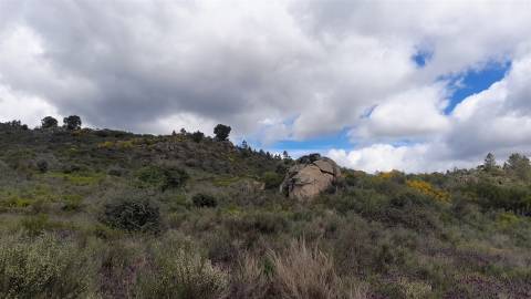 Quinta com 29,04Ha em Mata da Rainha, Fundão - Portugal