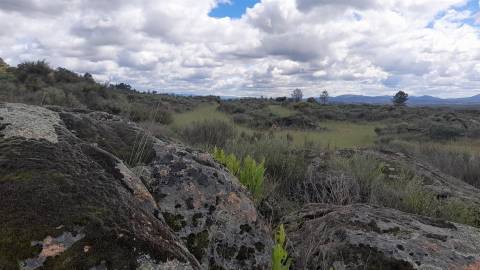 Quinta com 29,04Ha em Mata da Rainha, Fundão - Portugal
