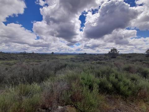 Quinta com 29,04Ha em Mata da Rainha, Fundão - Portugal