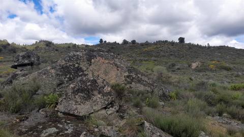 Quinta com 29,04Ha em Mata da Rainha, Fundão - Portugal