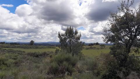Quinta com 29,04Ha em Mata da Rainha, Fundão - Portugal