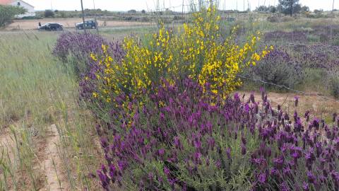 Quinta com 29,04Ha em Mata da Rainha, Fundão - Portugal