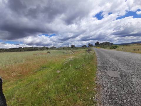 Quinta com 29,04Ha em Mata da Rainha, Fundão - Portugal