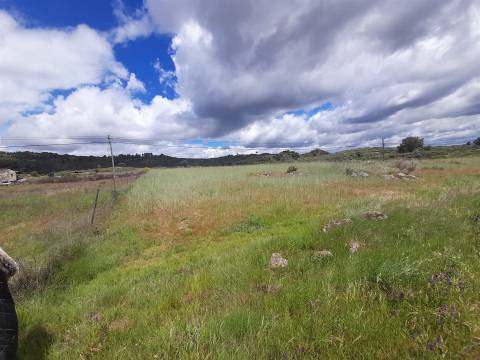 Quinta com 29,04Ha em Mata da Rainha, Fundão - Portugal
