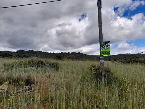 Quinta com 29,04Ha em Mata da Rainha, Fundão - Portugal