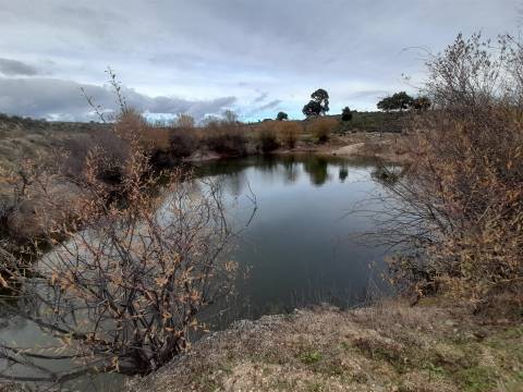 Quinta  Venda em Póvoa de Rio de Moinhos e Cafede,Castelo Branco