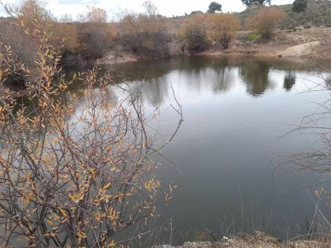 Quinta  Venda em Póvoa de Rio de Moinhos e Cafede,Castelo Branco