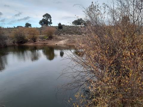 Quinta  Venda em Póvoa de Rio de Moinhos e Cafede,Castelo Branco