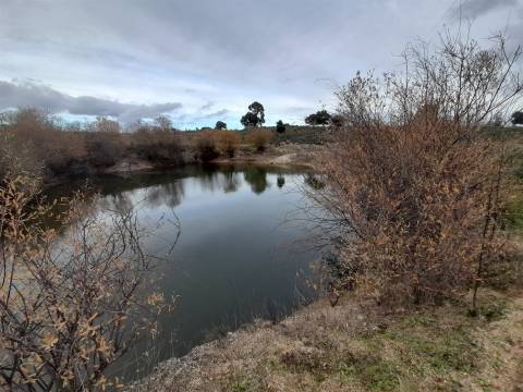 Quinta  Venda em Póvoa de Rio de Moinhos e Cafede,Castelo Branco