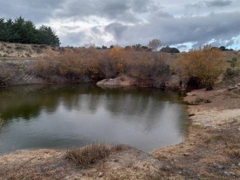 Quinta  Venda em Póvoa de Rio de Moinhos e Cafede,Castelo Branco