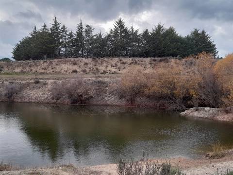 Quinta  Venda em Póvoa de Rio de Moinhos e Cafede,Castelo Branco
