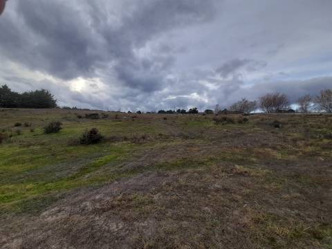 Quinta  Venda em Póvoa de Rio de Moinhos e Cafede,Castelo Branco