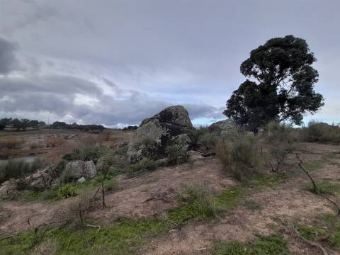 Quinta  Venda em Póvoa de Rio de Moinhos e Cafede,Castelo Branco
