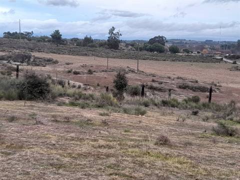Quinta  Venda em Póvoa de Rio de Moinhos e Cafede,Castelo Branco