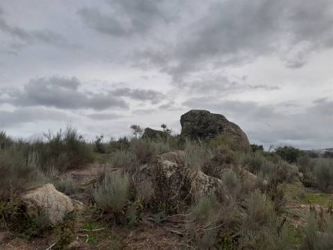 Quinta  Venda em Póvoa de Rio de Moinhos e Cafede,Castelo Branco
