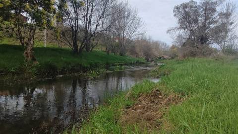 Quinta 1.25 ha Penamacor