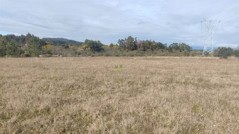 Quinta 1.25 ha Penamacor