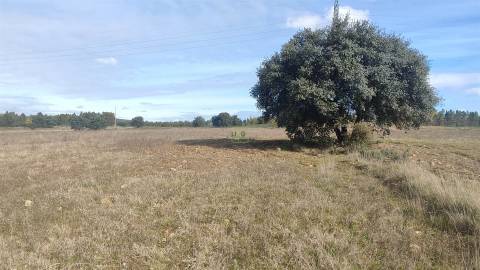 Quinta 1.25 ha Penamacor