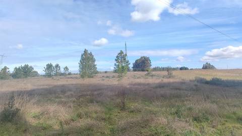 Quinta 1.25 ha Penamacor