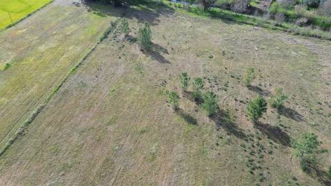 Quinta 1.25 ha Penamacor