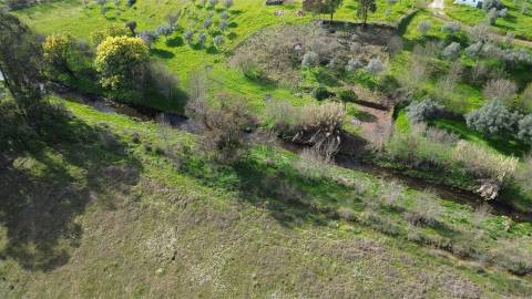 Quinta 1.25 ha Penamacor