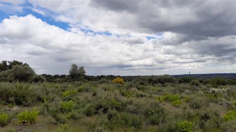 Quinta com 5200m2 nas Quintas da Torre, Fundão - Portugal