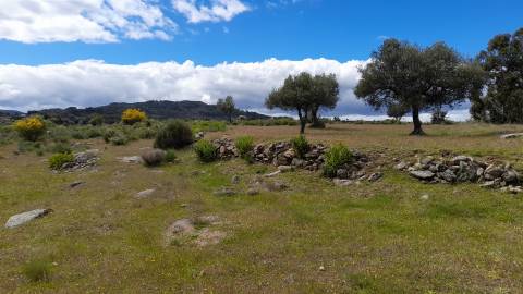 Quinta com 5200m2 nas Quintas da Torre, Fundão - Portugal