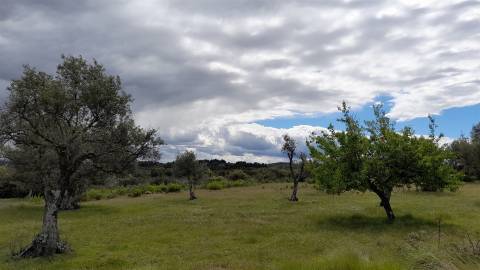 Quinta com 5200m2 nas Quintas da Torre, Fundão - Portugal