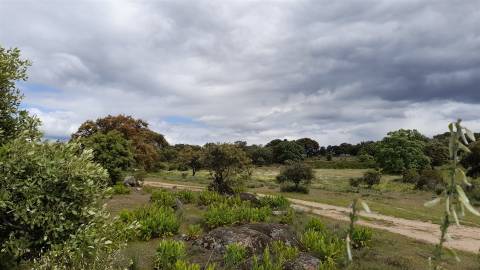 Quinta com 5200m2 nas Quintas da Torre, Fundão - Portugal
