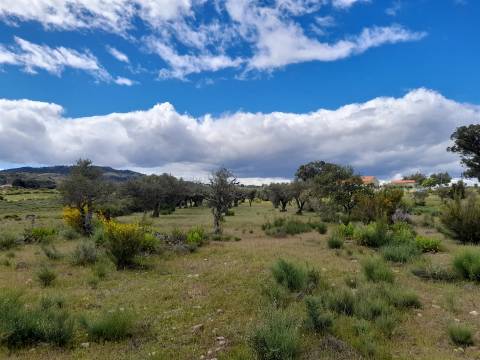 Quinta com 5200m2 nas Quintas da Torre, Fundão - Portugal