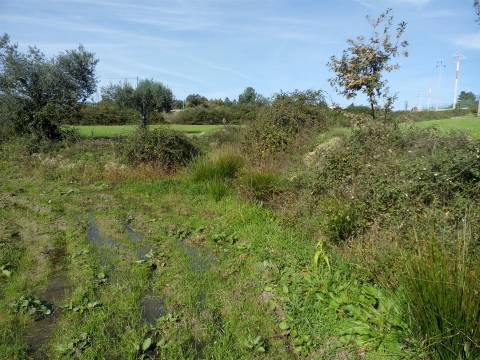 Herdade com 13ha em Peraboa, Covilhã