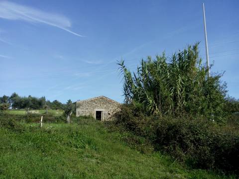 Herdade com 13ha em Peraboa, Covilhã