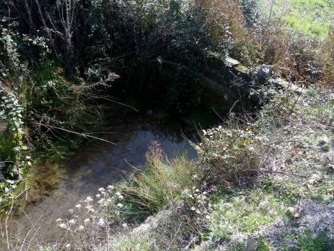 Herdade com 13ha em Peraboa, Covilhã