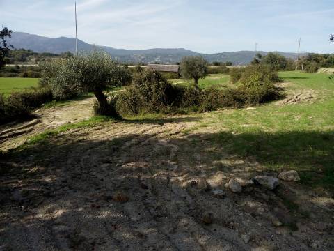 Herdade com 13ha em Peraboa, Covilhã