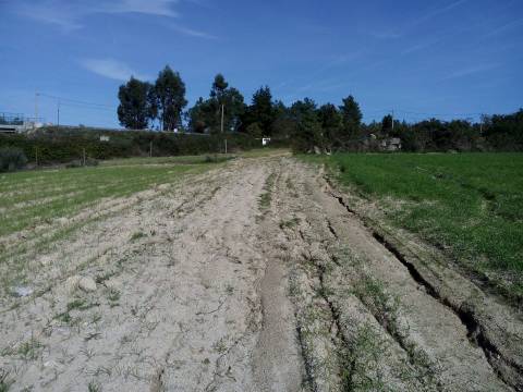 Herdade com 13ha em Peraboa, Covilhã