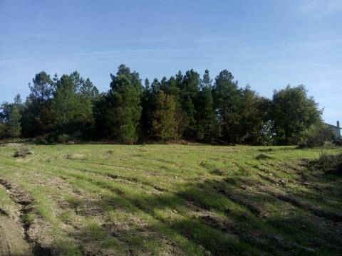 Herdade com 13ha em Peraboa, Covilhã