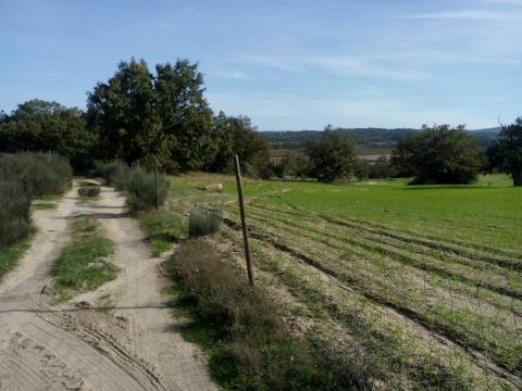 Herdade com 13ha em Peraboa, Covilhã