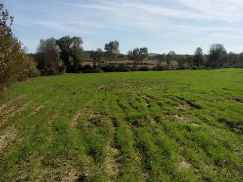 Herdade com 13ha em Peraboa, Covilhã