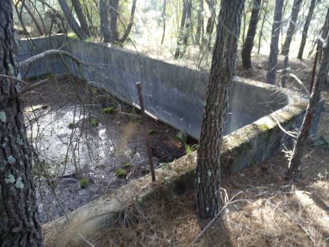 Herdade com 13ha em Peraboa, Covilhã