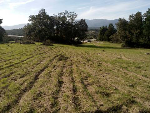 Herdade com 13ha em Peraboa, Covilhã