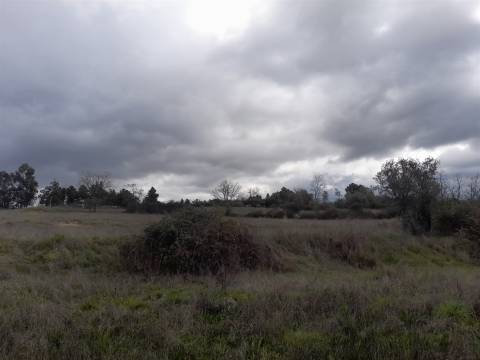 Herdade com 13ha em Peraboa, Covilhã