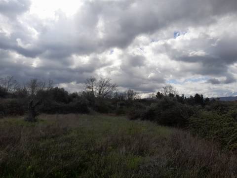 Herdade com 13ha em Peraboa, Covilhã