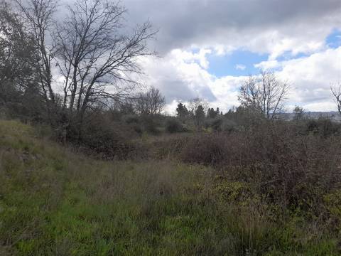 Herdade com 13ha em Peraboa, Covilhã