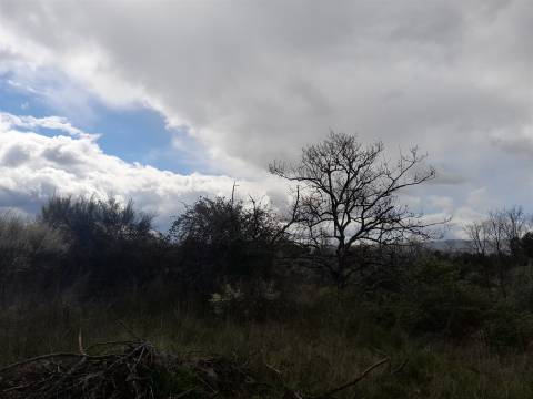 Herdade com 13ha em Peraboa, Covilhã