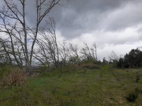 Herdade com 13ha em Peraboa, Covilhã