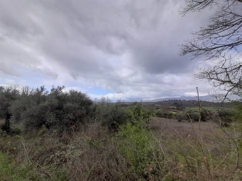 Herdade com 13ha em Peraboa, Covilhã